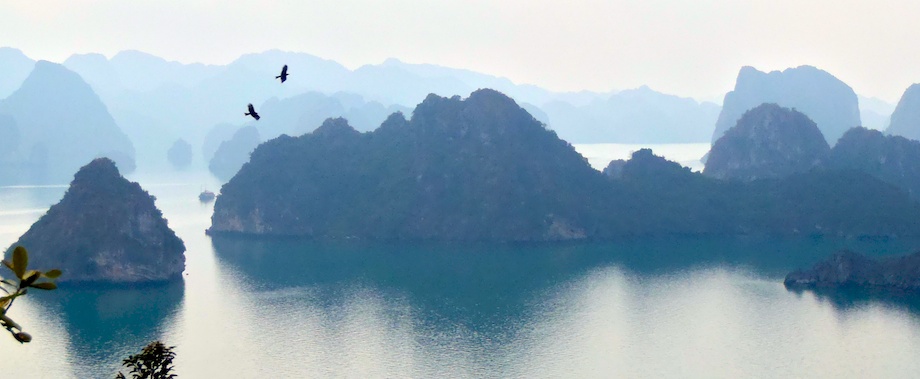 Eagles Above Ha Long Bay
