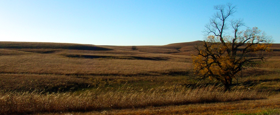 Flint Hills Autumn