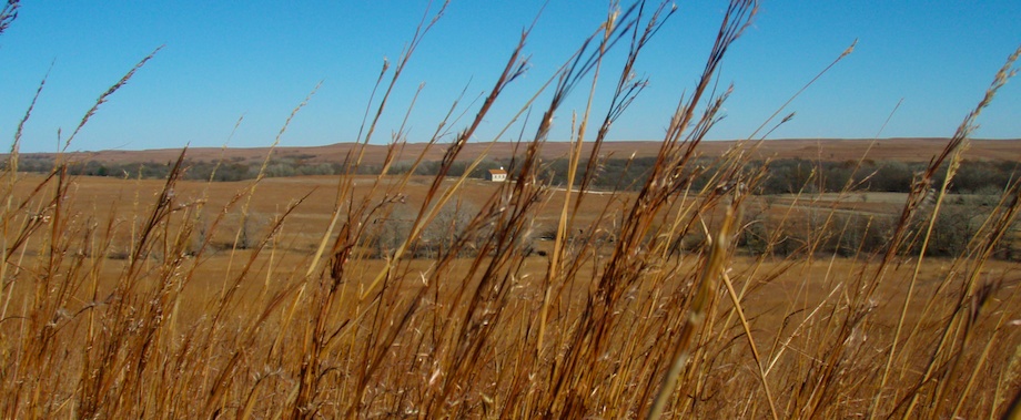 Flint Hills Autumn
